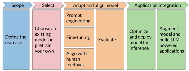 lifecycle