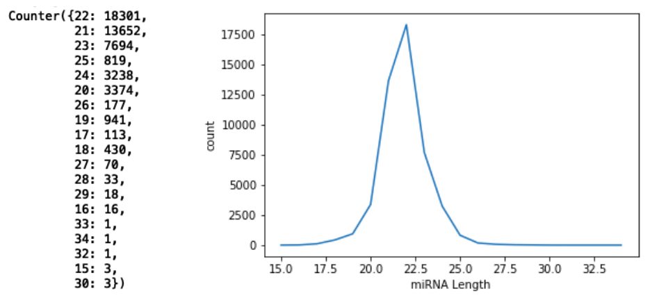 miRNA length statistics from miRNAbase